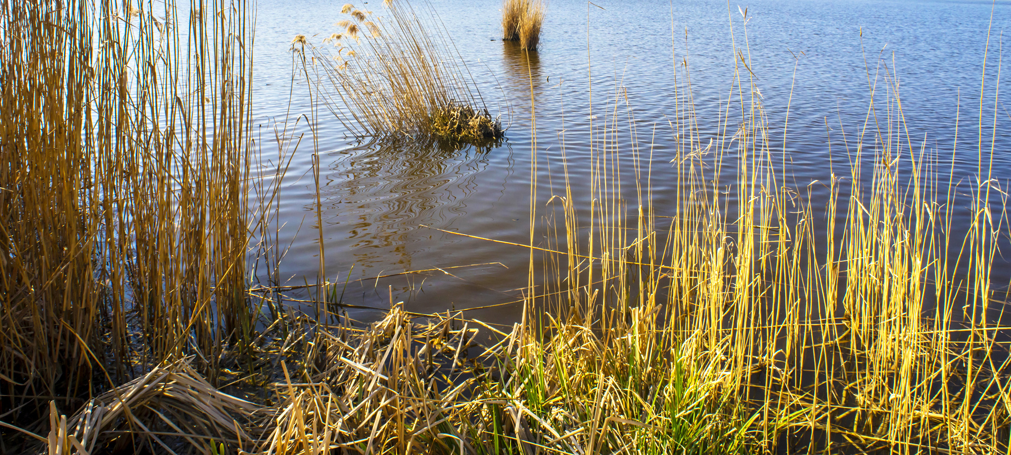 Product Releases - Integrated Hydrologic Model